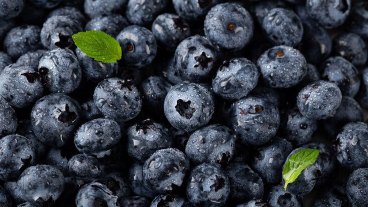 amazing health benefits of 100 grams blueberries,diabetes friendly this