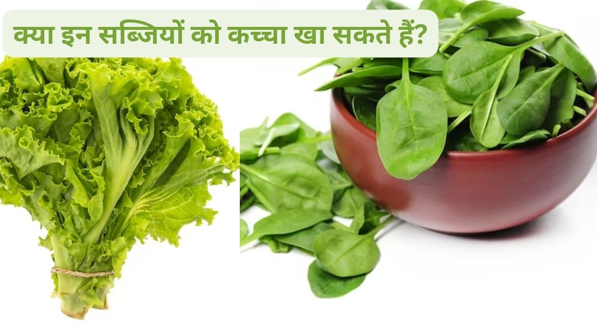 can consume raw kale and spinach is really bad for your health? know