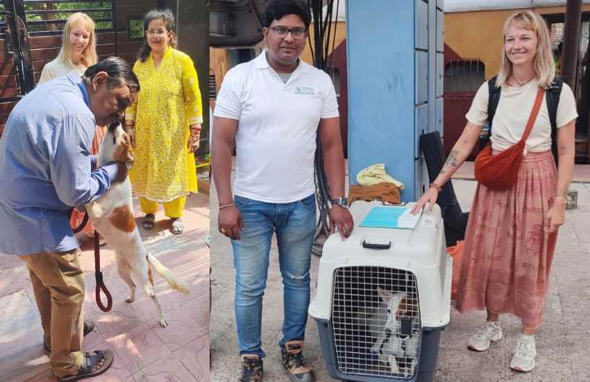 अपने साथ बनारस का कुत्ता भी ले जा रही है नीदरलैंड की महिला, पासपोर्ट और