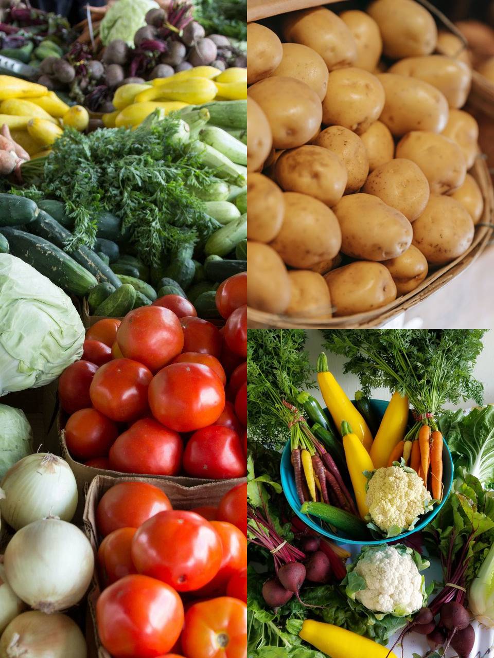 Potato is the king of vegetables then who is the queen Know here