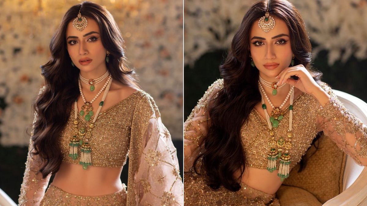 Sana Javeds Journey To Stardom The Controversial Moments That Defined Her Career - kxlf62v