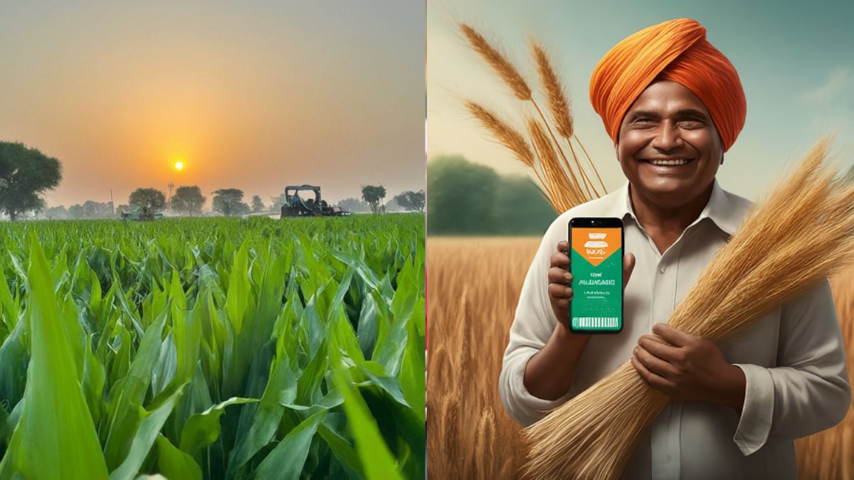 PM Kisan Yojana:Pm Kisan Samman Nidhi Yojana 16th Installment Release Date Latest Update And News | Jansatta