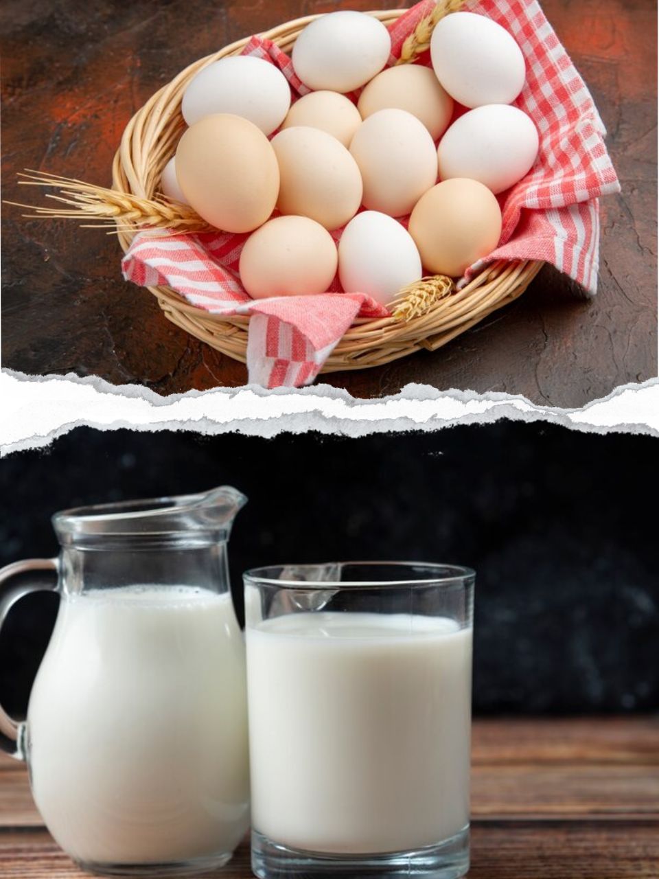 Milk Vs Egg What Better For Health and which has more protein