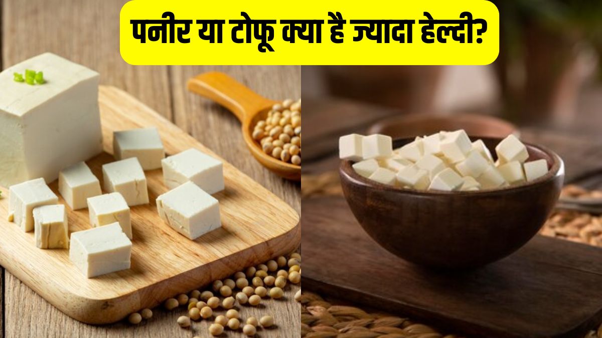 Paneer vs Tofu पनीर या टोफू आपकी सेहत के लिए क्या है ज्यादा बेहतर