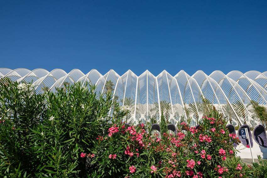 This flower offered to Lord Shankar is banned in this Islamic country