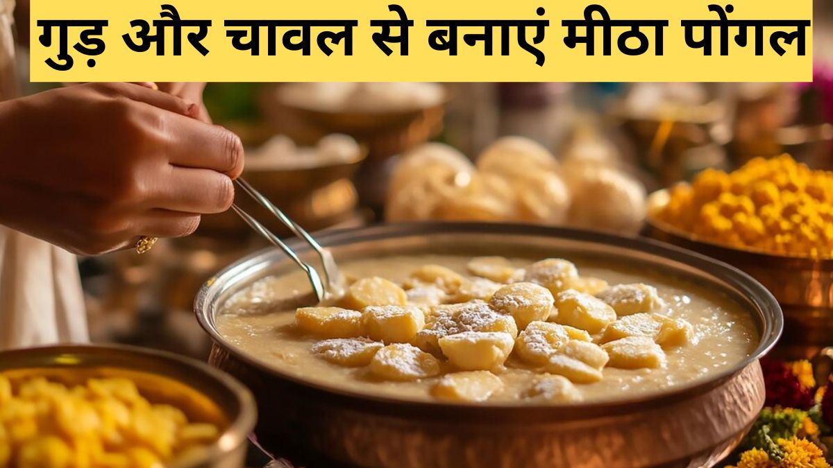 Pongal recipe at home। Pongal festival 2025 । Pongal Jansatta